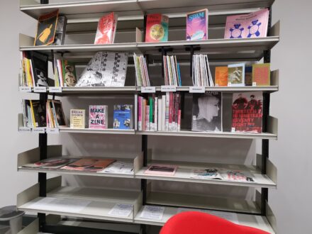 An image of library shelving containing zines